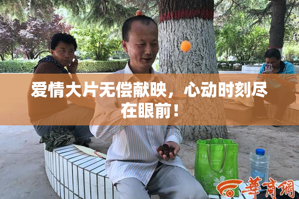 爱情大片无偿献映，心动时刻尽在眼前！