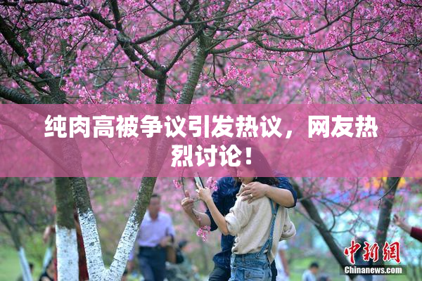 纯肉高被争议引发热议，网友热烈讨论！