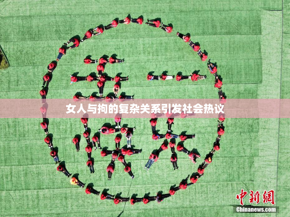 女人与拘的复杂关系引发社会热议
