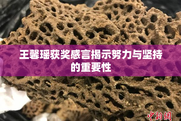 王馨瑶获奖感言揭示努力与坚持的重要性