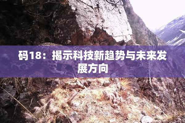 码18：揭示科技新趋势与未来发展方向