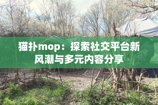 猫扑mop：探索社交平台新风潮与多元内容分享