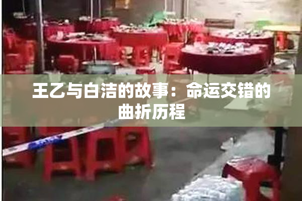 王乙与白洁的故事：命运交错的曲折历程