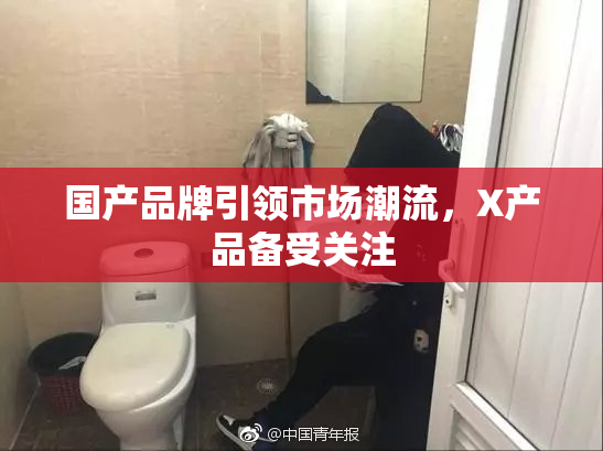 国产品牌引领市场潮流，X产品备受关注