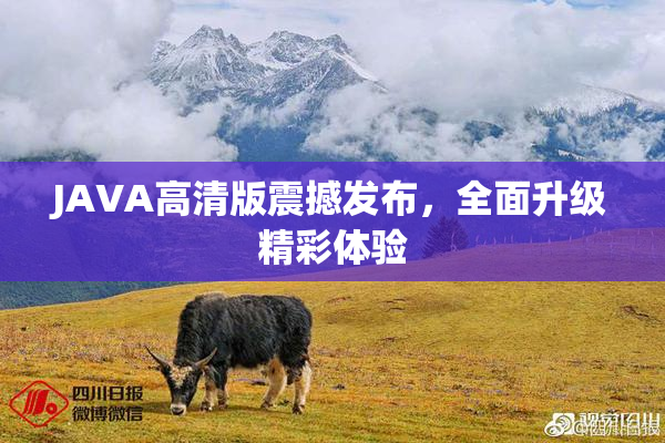 JAVA高清版震撼发布，全面升级精彩体验