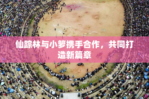 仙踪林与小箩携手合作，共同打造新篇章