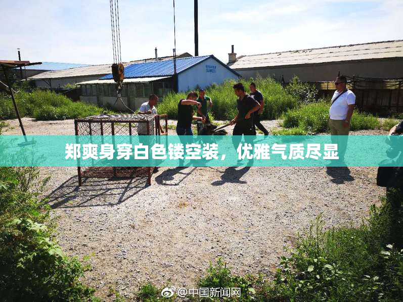 郑爽身穿白色镂空装，优雅气质尽显