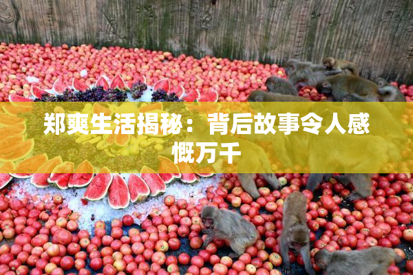 郑爽生活揭秘：背后故事令人感慨万千