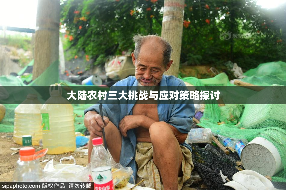 大陆农村三大挑战与应对策略探讨