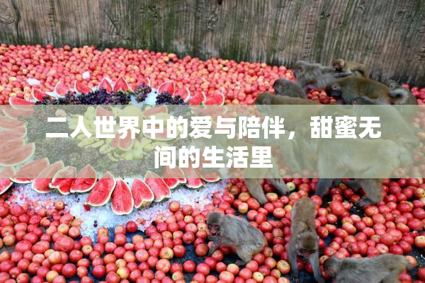二人世界中的爱与陪伴，甜蜜无间的生活里