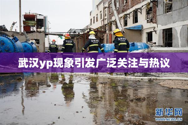 武汉yp现象引发广泛关注与热议