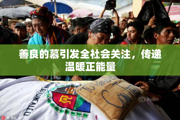 善良的慕引发全社会关注，传递温暖正能量