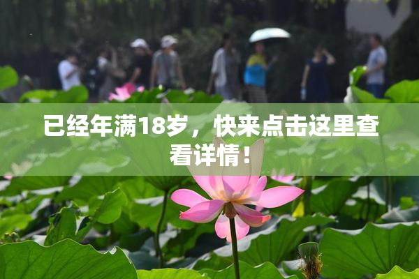 已经年满18岁，快来点击这里查看详情！