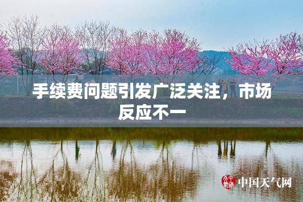 手续费问题引发广泛关注，市场反应不一