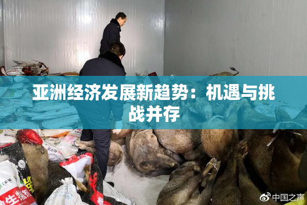 亚洲经济发展新趋势：机遇与挑战并存