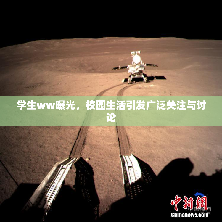 学生ww曝光，校园生活引发广泛关注与讨论