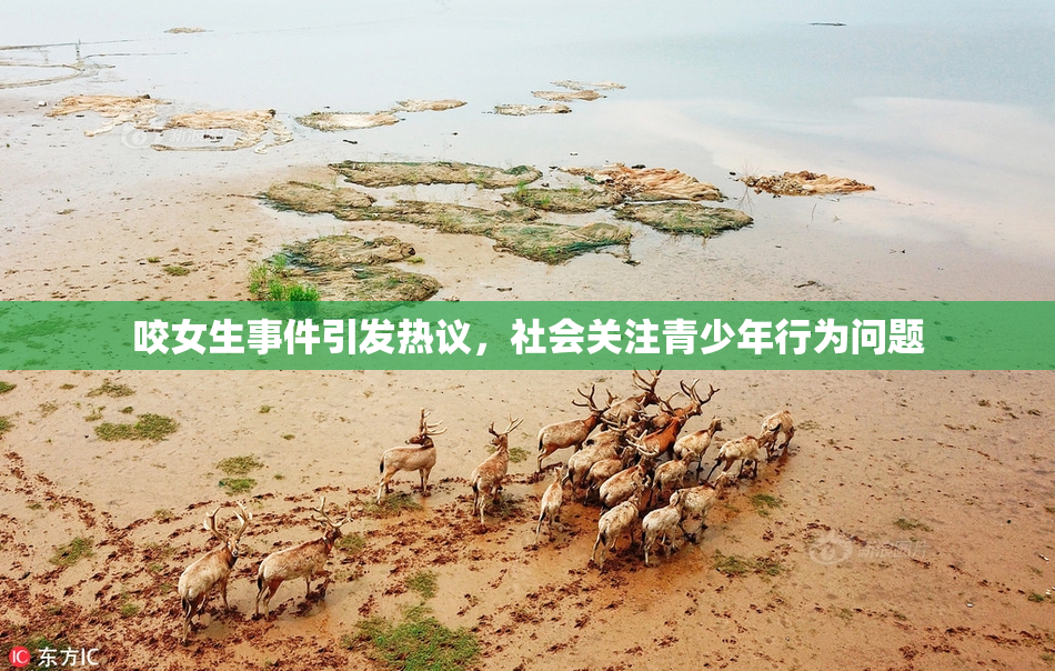 咬女生事件引发热议，社会关注青少年行为问题
