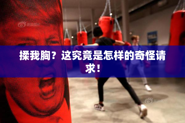 揉我胸？这究竟是怎样的奇怪请求！