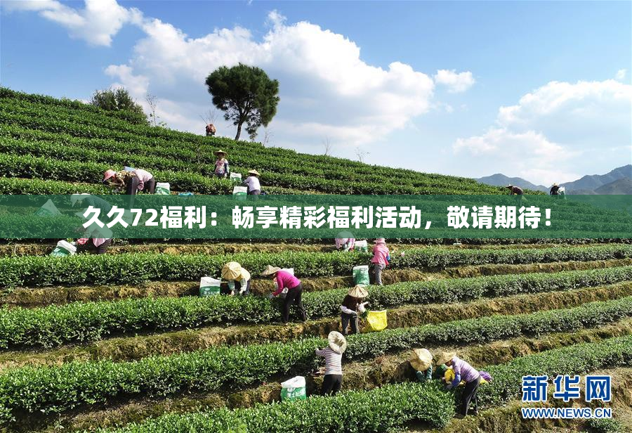 久久72福利：畅享精彩福利活动，敬请期待！