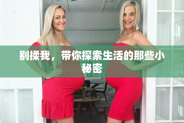别揉我，带你探索生活的那些小秘密