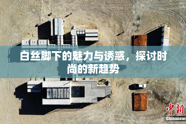 白丝脚下的魅力与诱惑，探讨时尚的新趋势