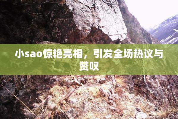 小sao惊艳亮相，引发全场热议与赞叹