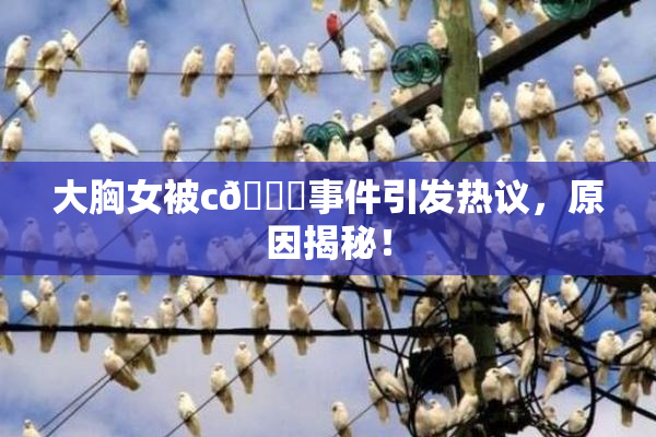大胸女被c🔞事件引发热议，原因揭秘！