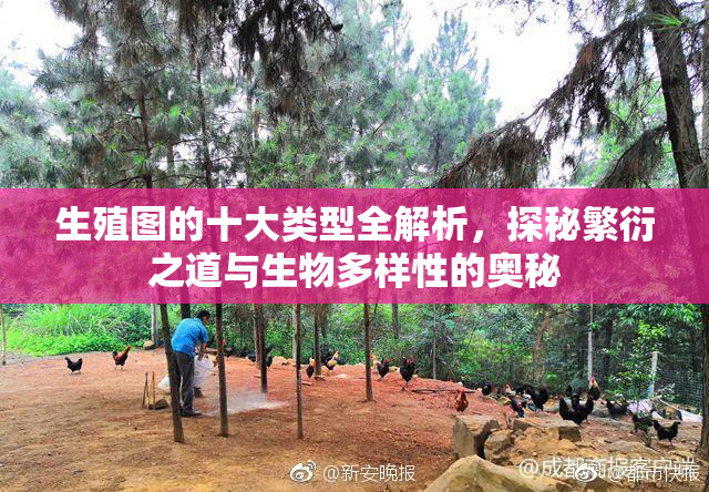 生殖图的十大类型全解析，探秘繁衍之道与生物多样性的奥秘
