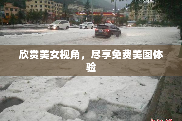 欣赏美女视角，尽享免费美图体验