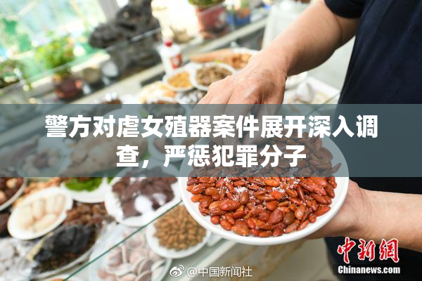 警方对虐女殖器案件展开深入调查，严惩犯罪分子