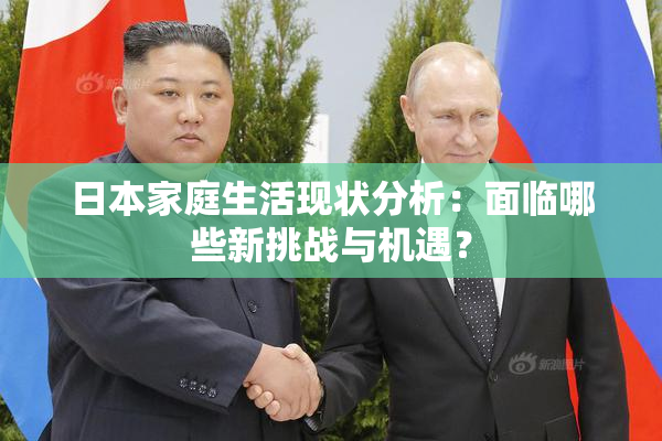 日本家庭生活现状分析：面临哪些新挑战与机遇？