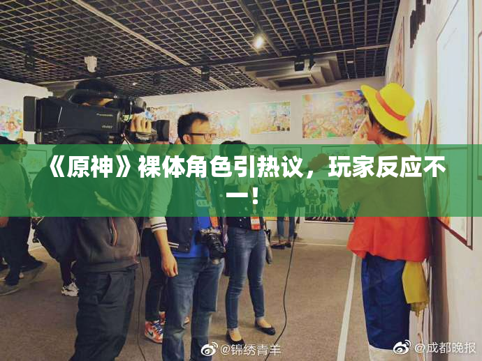《原神》裸体角色引热议，玩家反应不一！