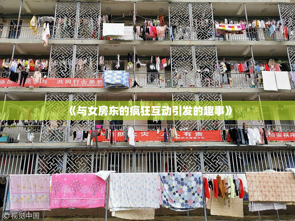 《与女房东的疯狂互动引发的趣事》