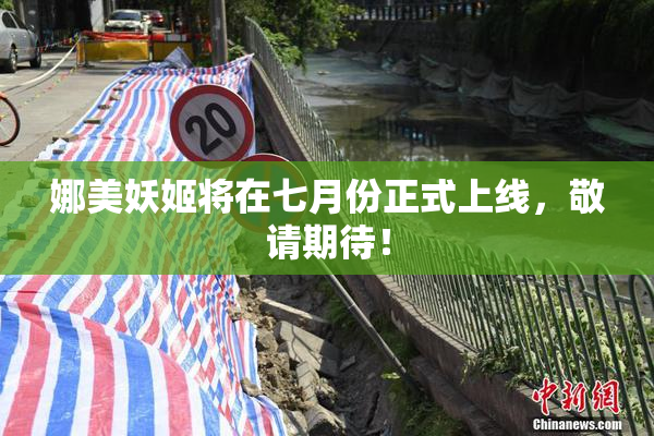 娜美妖姬将在七月份正式上线，敬请期待！