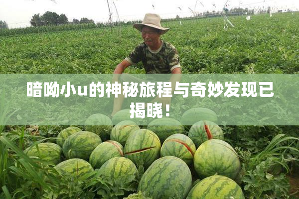 暗呦小u的神秘旅程与奇妙发现已揭晓！