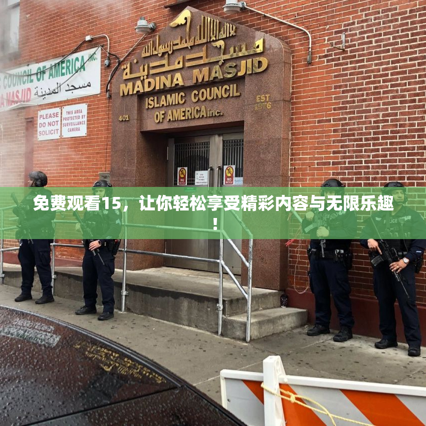 免费观看15，让你轻松享受精彩内容与无限乐趣！