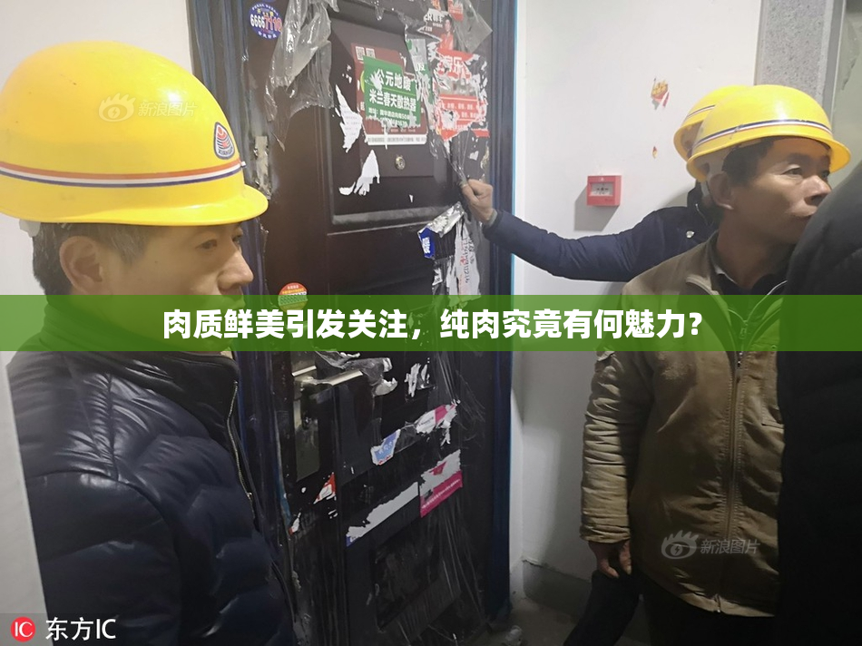 肉质鲜美引发关注，纯肉究竟有何魅力？