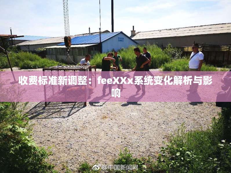 收费标准新调整：feeXXx系统变化解析与影响