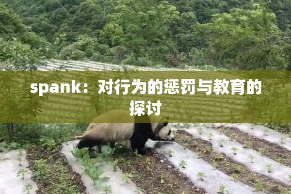 spank：对行为的惩罚与教育的探讨