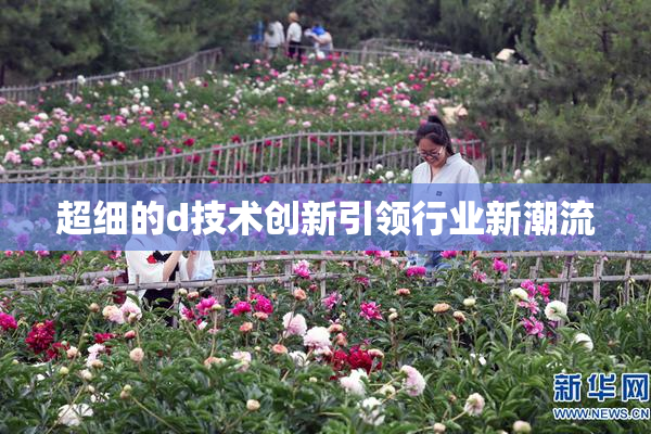 超细的d技术创新引领行业新潮流