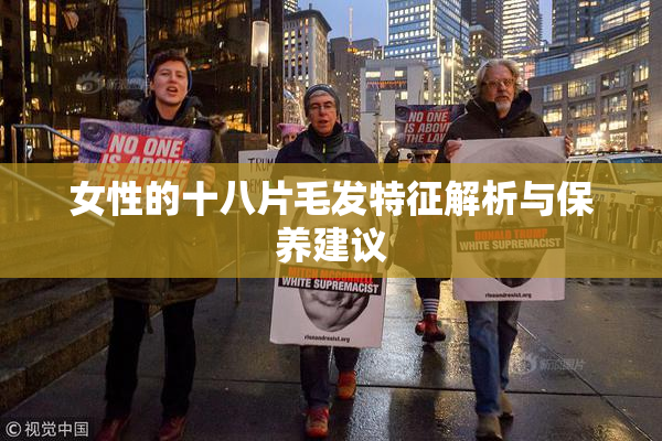 女性的十八片毛发特征解析与保养建议