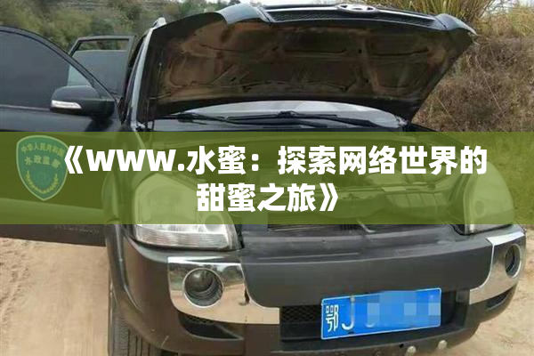 《WWW.水蜜：探索网络世界的甜蜜之旅》