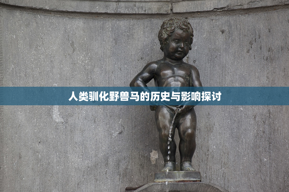 人类驯化野兽马的历史与影响探讨