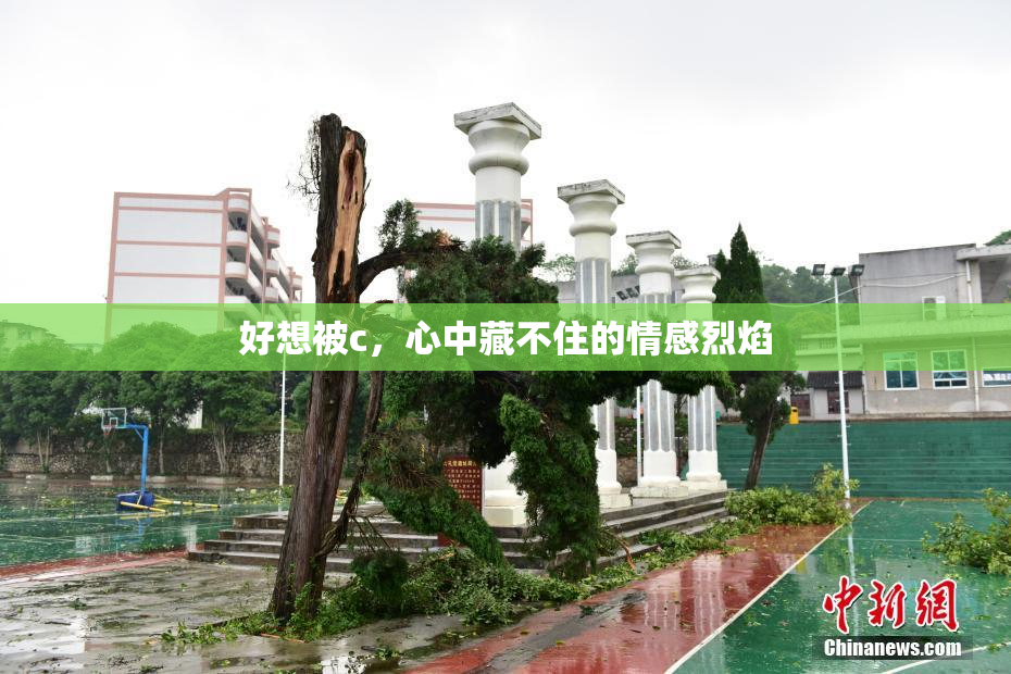 好想被c，心中藏不住的情感烈焰