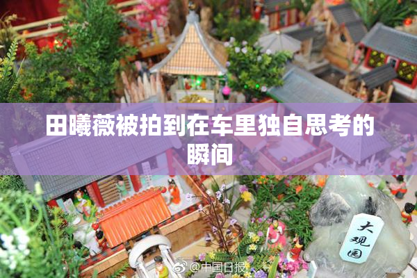 田曦薇被拍到在车里独自思考的瞬间