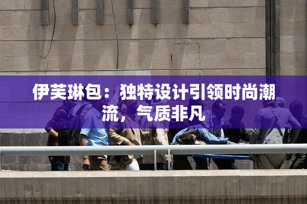 伊芙琳包：独特设计引领时尚潮流，气质非凡
