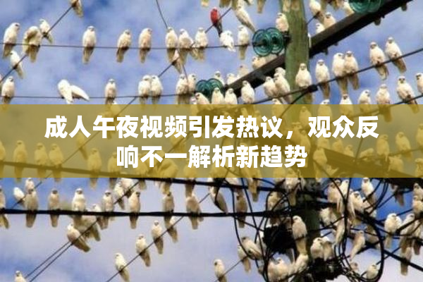 成人午夜视频引发热议，观众反响不一解析新趋势