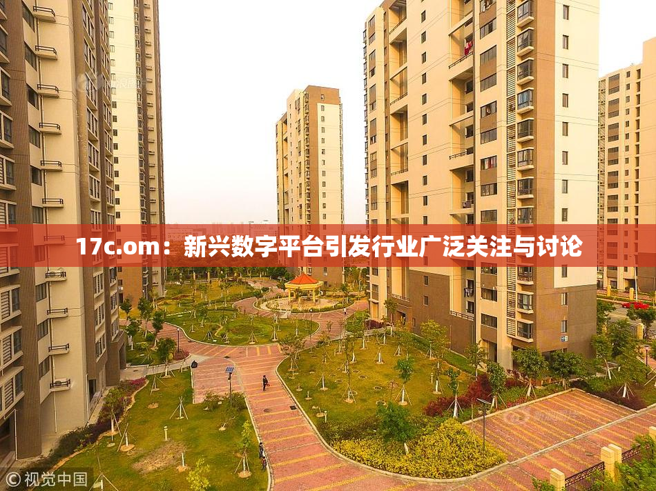17c.om：新兴数字平台引发行业广泛关注与讨论