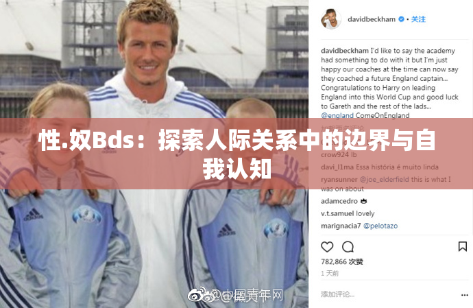 性.奴Bds：探索人际关系中的边界与自我认知