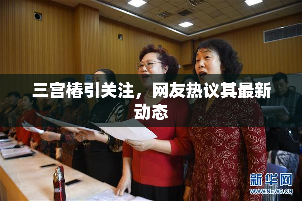 三宫椿引关注，网友热议其最新动态